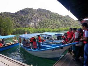 MANGROVE TOUR (8 PAX - 2 HOURS)