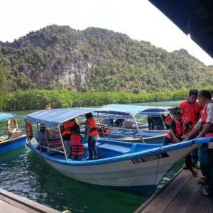 MANGROVE TOUR (15 PAX - 2 HOURS)