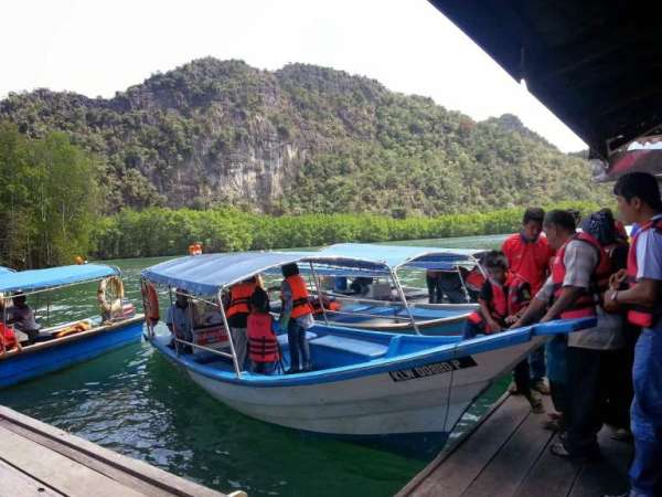 MANGROVE TOUR (15 PAX - 4 HOURS)